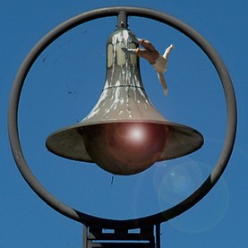 Kunstflug bei Licht.jpg