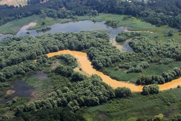 Spremberg_Spree_yellow_3.jpg